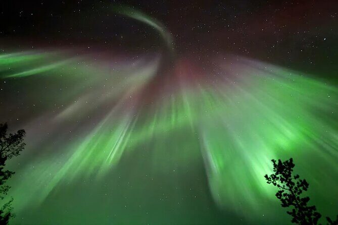 Whitehorse 4 Day Aurora Tour Wildlife Preserve and Hot Springs - Key Points