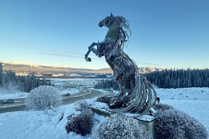 Whitehorse 4 Day Aurora Tour Wildlife Preserve and Hot Springs - Exploring Whitehorse in Depth