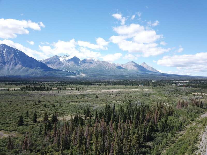 Whitehorse: Kluane - Wildlife & Vistas - The Sum Up