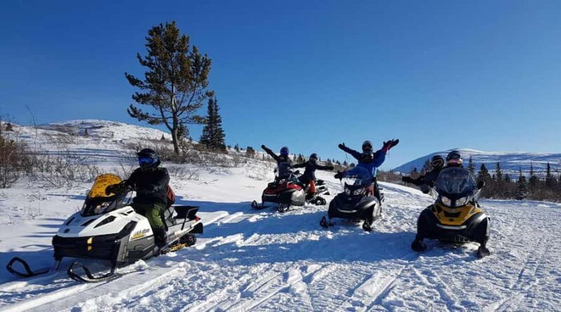 Whitehorse: Snowmobile Tour on the Dawson Overland Trail - Key Points