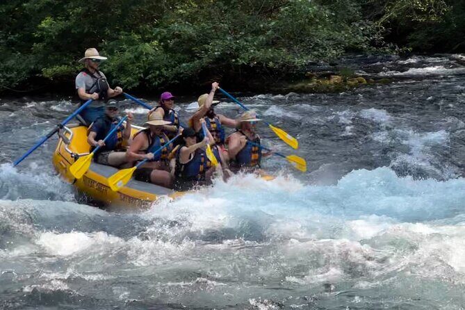 Whitewater Rafting on The McKenzie River - An Introduction to the McKenzie River Whitewater Experience