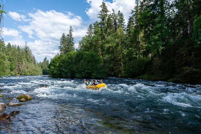 Whitewater Rafting on The McKenzie River - Scenic Beauty and the Environment