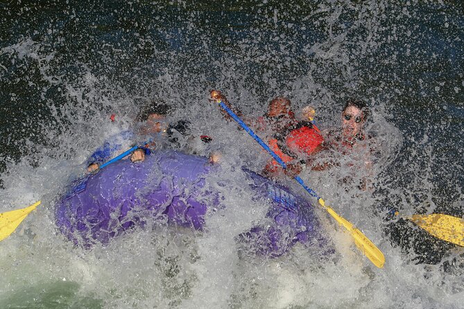 Whitewater Rafting Small Boat Adventure Snake River Jackson Hole - Wildlife Spotting Opportunities