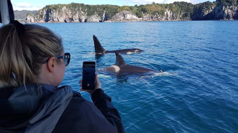 Whitianga: 2-Hour Cathedral Cove and Volcanic Coast Cruise - The Sum Up