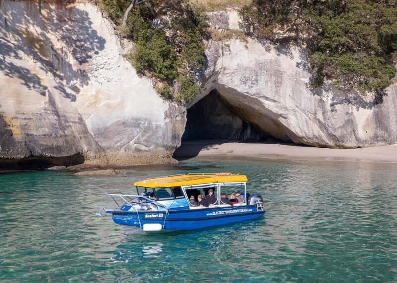 Whitianga: 2-Hour Glass Bottom Boat Cathedral Cove Tour - Key Points