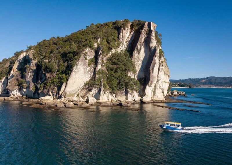 Whitianga: 2-Hour Glass Bottom Boat Cathedral Cove Tour - What to Expect from the Tour