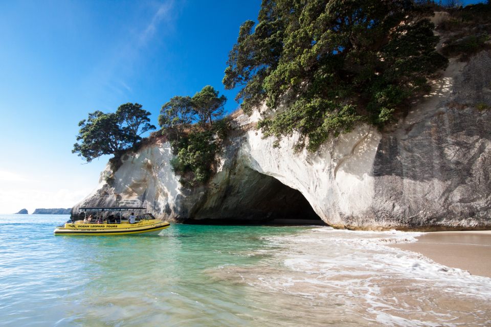 Whitianga: Cathedral Cove 2 Hour Boat Cruise - About the Cruise