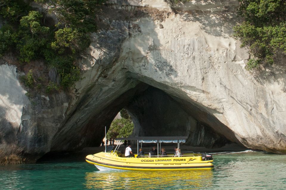 Whitianga: Cathedral Cove 2 Hour Boat Cruise - Arrival Instructions
