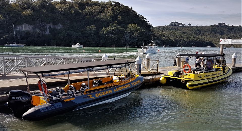 Whitianga: Cathedral Cove 2 Hour Boat Cruise - Important Recommendations