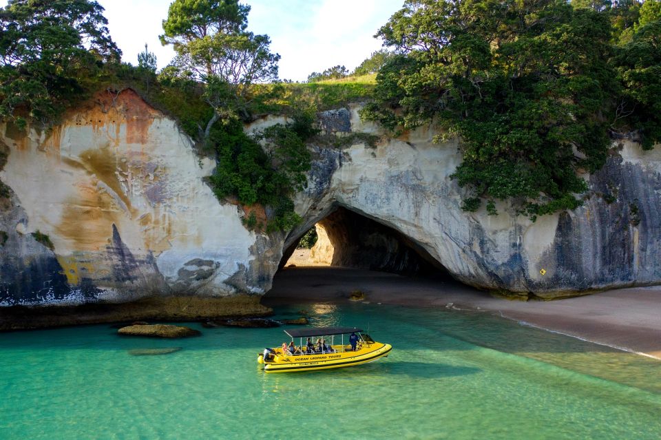 Whitianga: Cathedral Cove 2 Hour Boat Cruise - Frequently Asked Questions