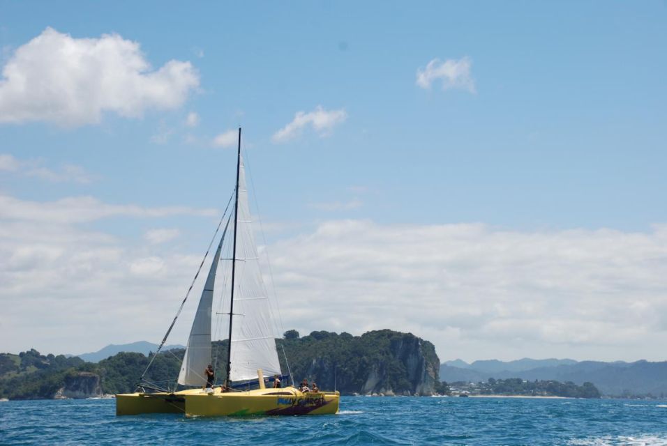 Whitianga: Sailing Trip to Cathedral Cove - Trip Description