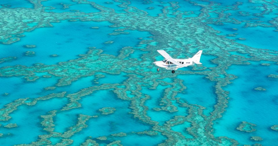 Whitsundays: Ocean Rafting Fly Raft Tour With Snorkeling - Packing Essentials
