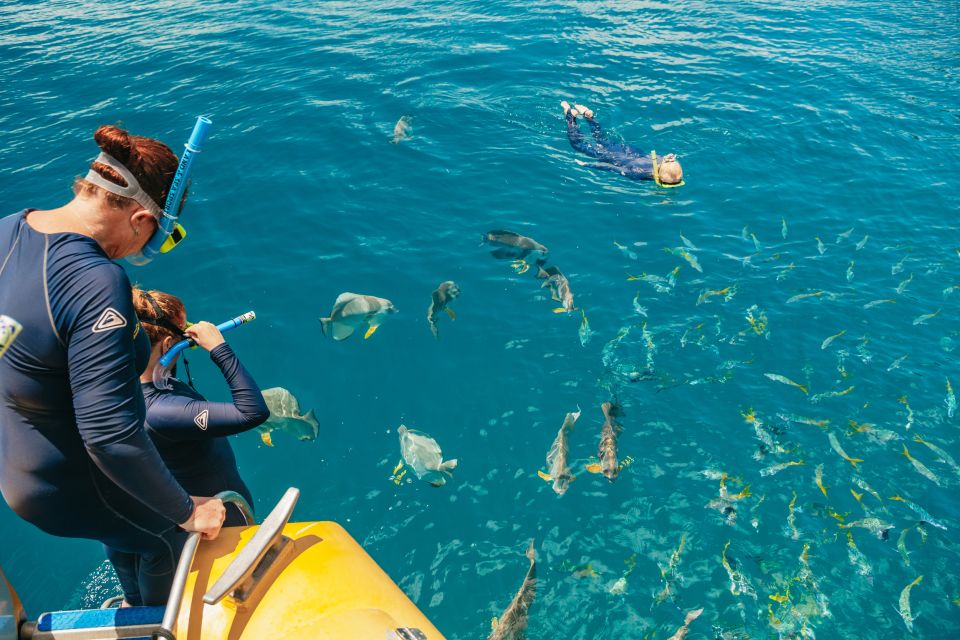 Whitsundays Ocean Rafting Tour: Snorkel, Walk & Whitehaven - Important Information