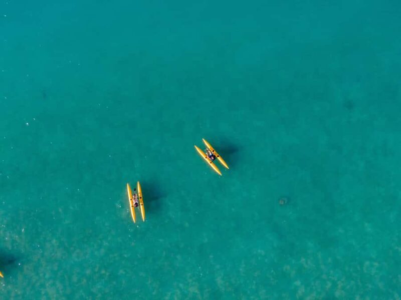 Whitsundays: Water Bike Eco-Tour with Guide - The Value of the Experience