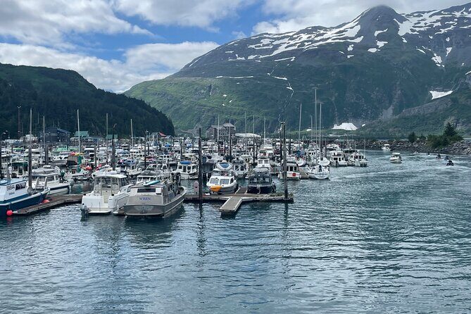 Whittier Drive and Coastal Alaska Full Day Adventure - Introduction: A Solid Day of Alaska’s Best
