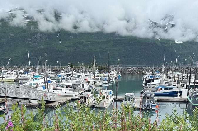 Whittier Drive and Coastal Alaska Full Day Adventure - Who Will Love This Tour?