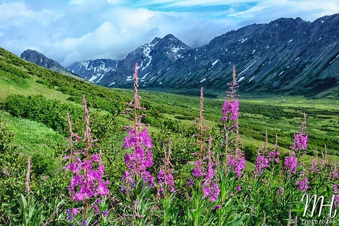 Whittier to Anchorage Full Day Transit Tour From the Port - Frequently Asked Questions