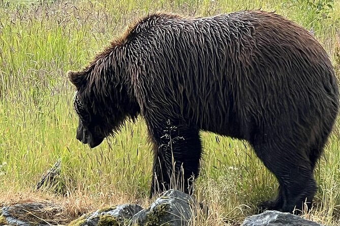 Whittier to Anchorage Land Transfer Tour - Sum Up