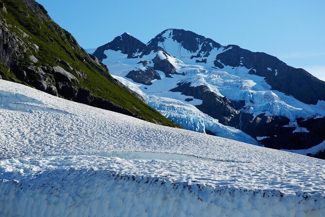 Whittier to Anchorage Post Cruise Wildlife Glacier Tour - Who Will Love This Tour?