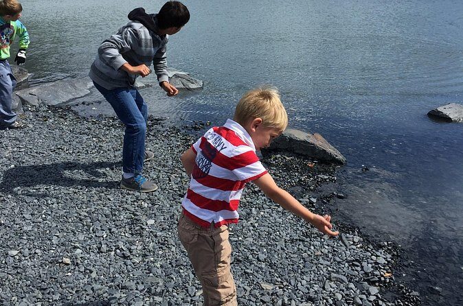 Whittier to Anchorage Sightseeing with Wildlife Tour - The Sum Up: Who Should Consider This Tour?