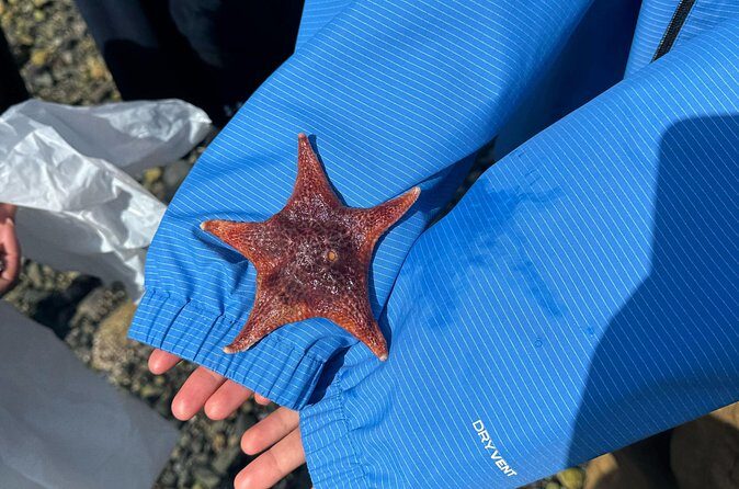 Whytecliff Park Indigenous Salish Sea Walking Tour - Who Should Consider This Tour?