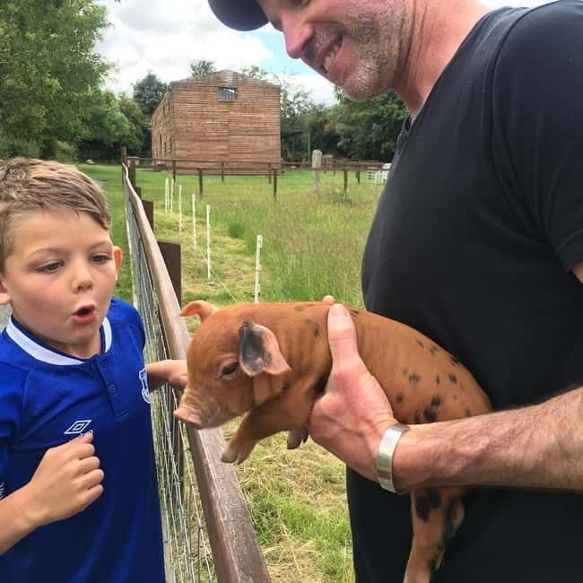 Wicklow: Greenan Farm, Museums & Maze with Animal Feeding - An Authentic Taste of Irish Countryside in Wicklow