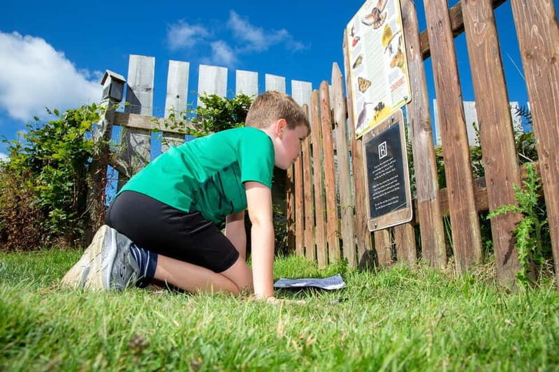 Wicklow: Greenan Farm, Museums & Maze with Animal Feeding - Practical Details and Tips