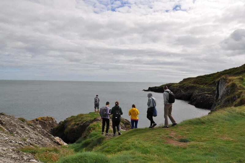 Wicklow: Guided Cliff Walk with Seals and Town Tour w/Picnic - Key Points