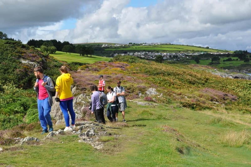 Wicklow: Guided Cliff Walk with Seals and Town Tour w/Picnic - Who Is This Tour Best For?