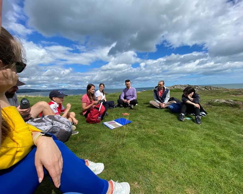 Wicklow: Guided Cliff Walk with Seals and Town Tour w/Picnic - The Sum Up