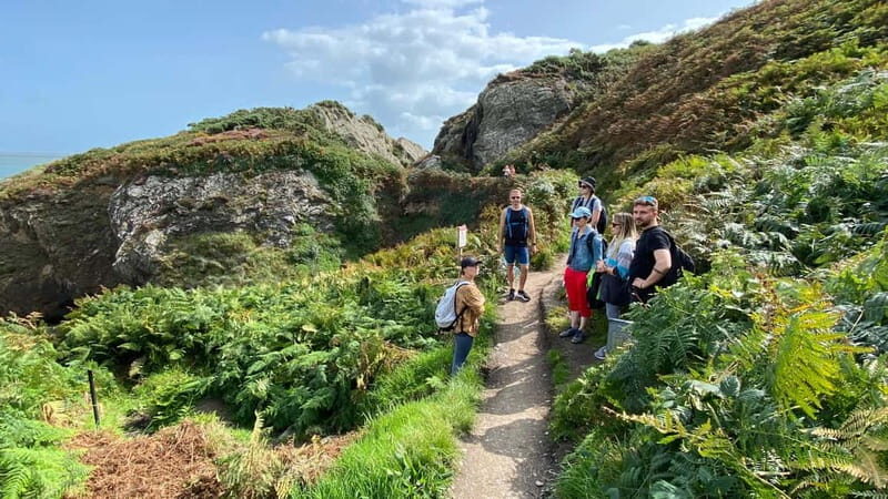 Wicklow: Guided Cliff Walk with Seals and Town Tour w/Picnic - FAQ