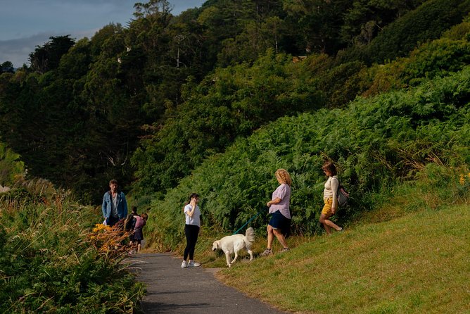 Wicklow Mountains Private Day Trip From Dublin - CO2 Neutral Transportation