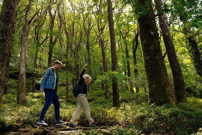 Wicklow Mountains Private Day Trip From Dublin - Pickup and Accessibility