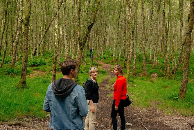 Wicklow Mountains Private Day Trip From Dublin - Positive Guest Reviews