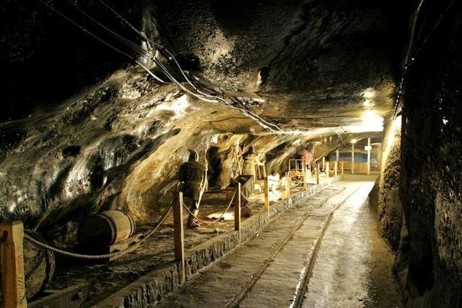 Wieliczka Salt Mine Guided Tour From Krakow With a Private Car - Private Transportation From Krakow