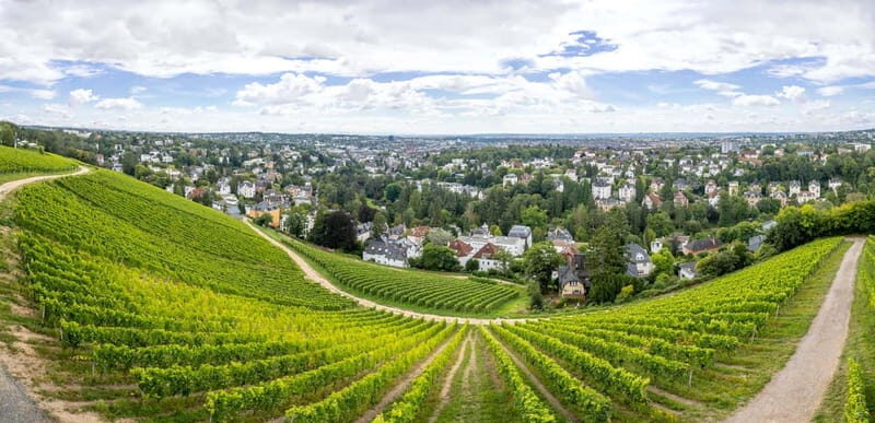 Wiesbaden: Neroberg  Wiesbaden's local mountain - Exploring Neroberg: A Complete Guide