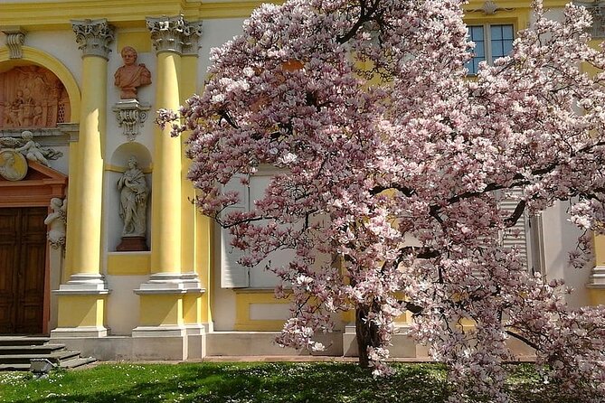Wilanów Palace Audio Tour Review - Exploring Wilanów Palace