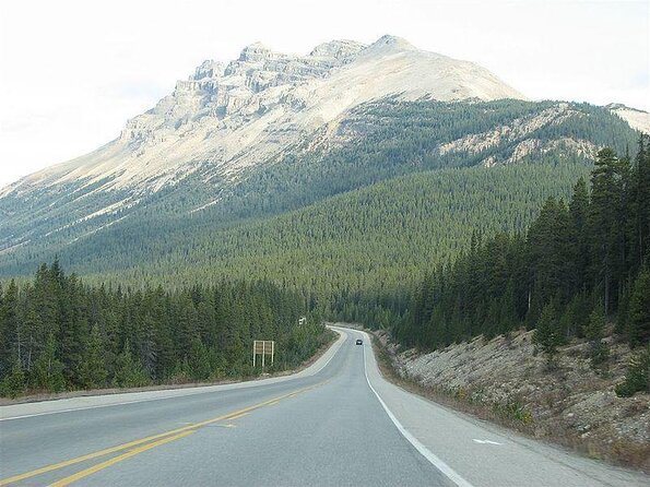 Wilcox Pass - Good To Know