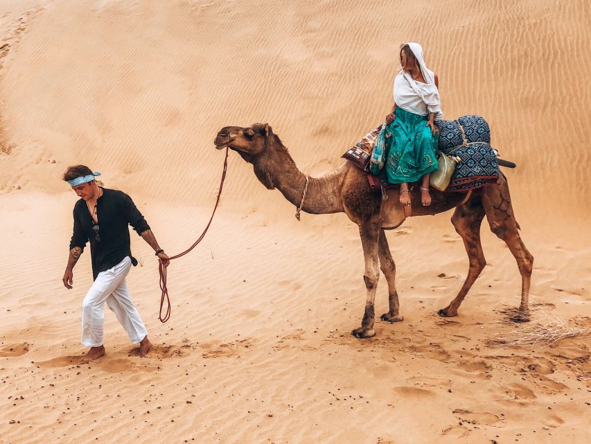 Wild 3 Day Desert Safari - Unique Experience Highlights