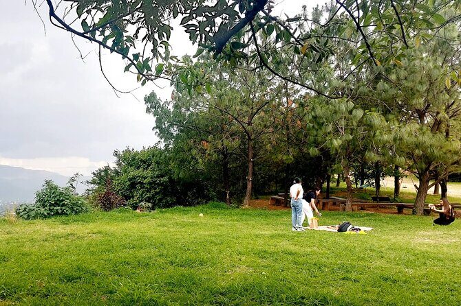 Wild Agaves Hiking Experience in Oaxaca - Why This Tour Offers Great Value