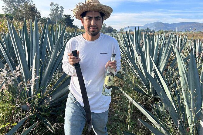 Wild Agaves Hiking Experience in Oaxaca - The Sum Up