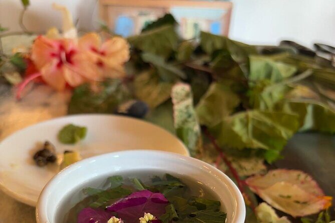 Wild and Medicinal Dominica Private Tour - The Experience of the Guide and the Journey