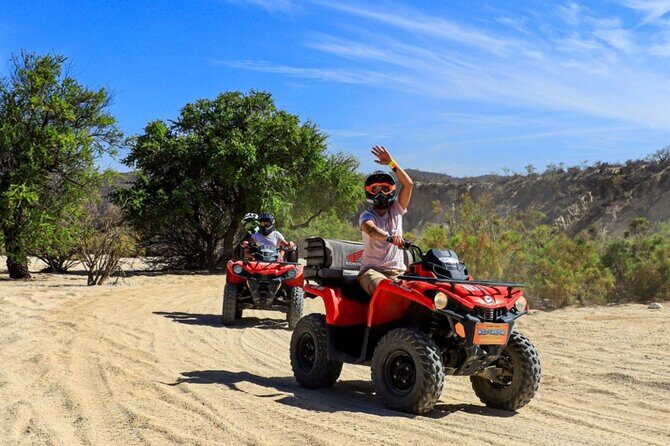Wild ATV Desert Adventure in Cabo - Key Points