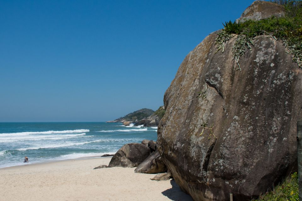 Wild Beaches and Brazilian Rum Farm With a Photographer - Prainha: A Surfers Paradise