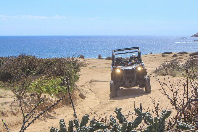 Wild Canyon Park Pass - Why This Tour Is a Good Deal