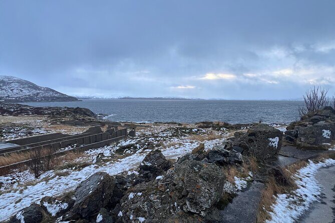 Wild Coast and WW2 History Tour on ATV - Exploring the Details of the Wild Coast and WWII Tour