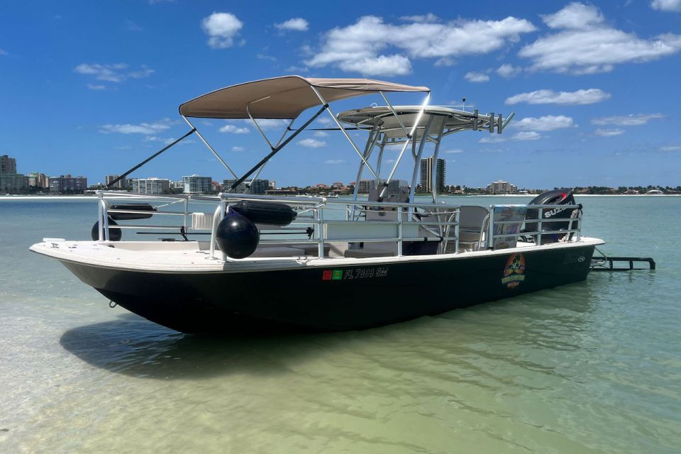 Wild Dolphin Boat Tour - Departure and Return