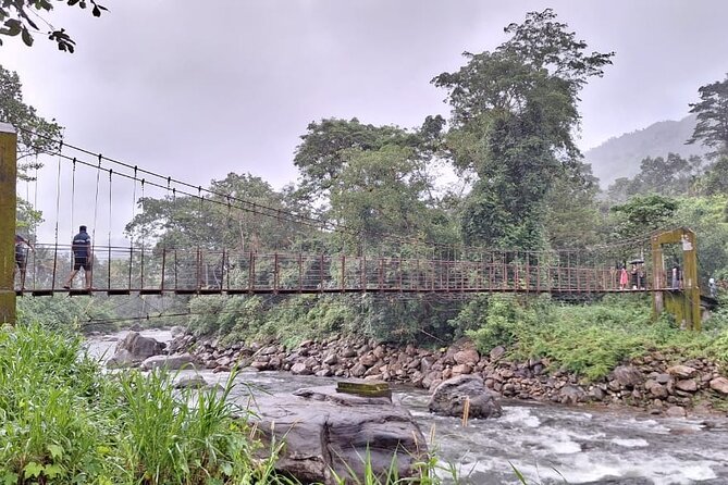 Wild Elephant Anakulam & Waterfalls Tour(Munnar Valley Trekking) - Pickup and Meeting Point