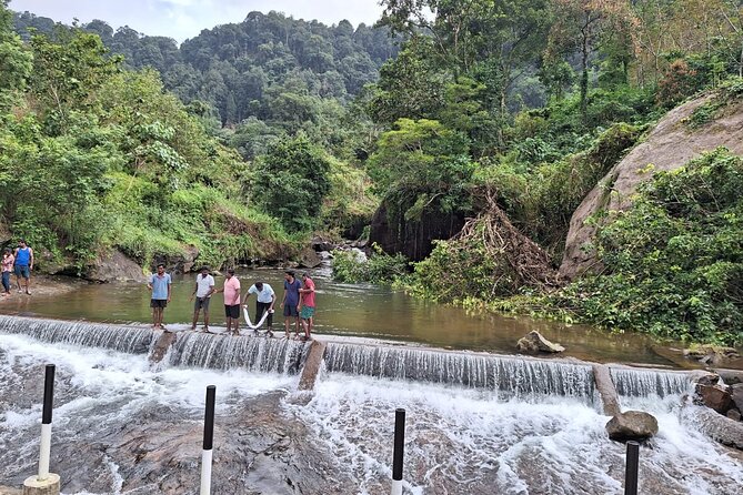 Wild Elephant Anakulam & Waterfalls Tour(Munnar Valley Trekking) - Additional Details