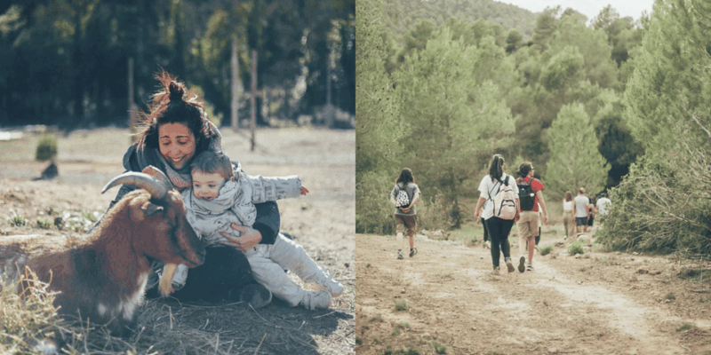 Wild Forest Reserve Foundation - Caregiver for a Day - Activities Included